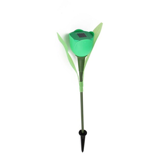 Solar Power LED Lamp
